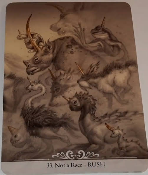 Barbieri Unicorns Oracle